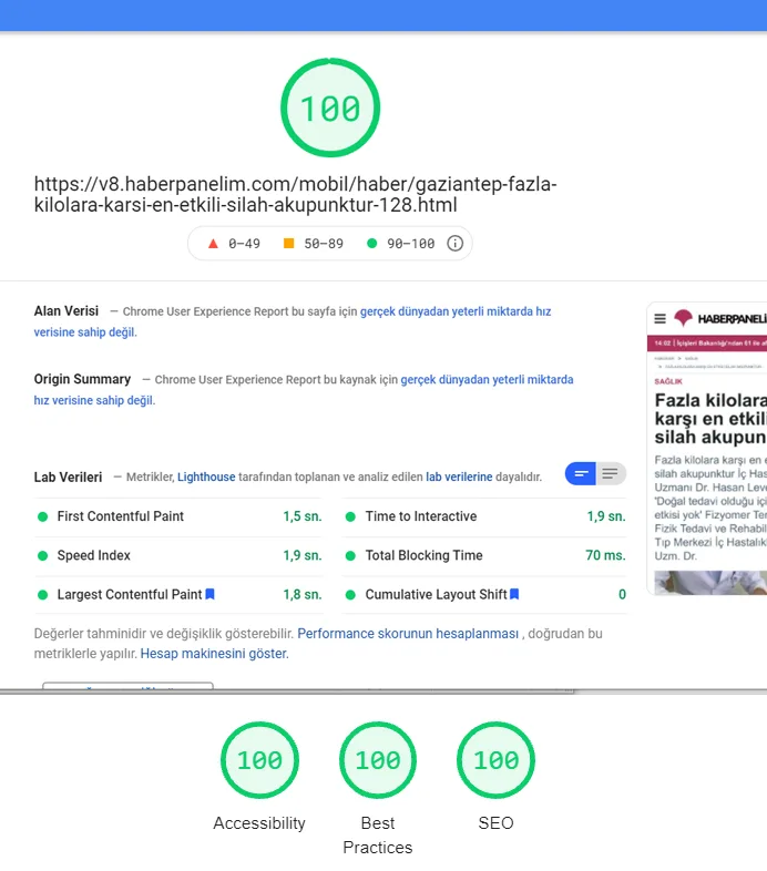 Google PageSpeed Insights sonucu: performans, erişilebilirlik, en iyi uygulamalar ve SEO 100